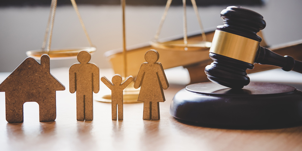 ShreeJi Bhardwaj Associates
         Law Firm Logo